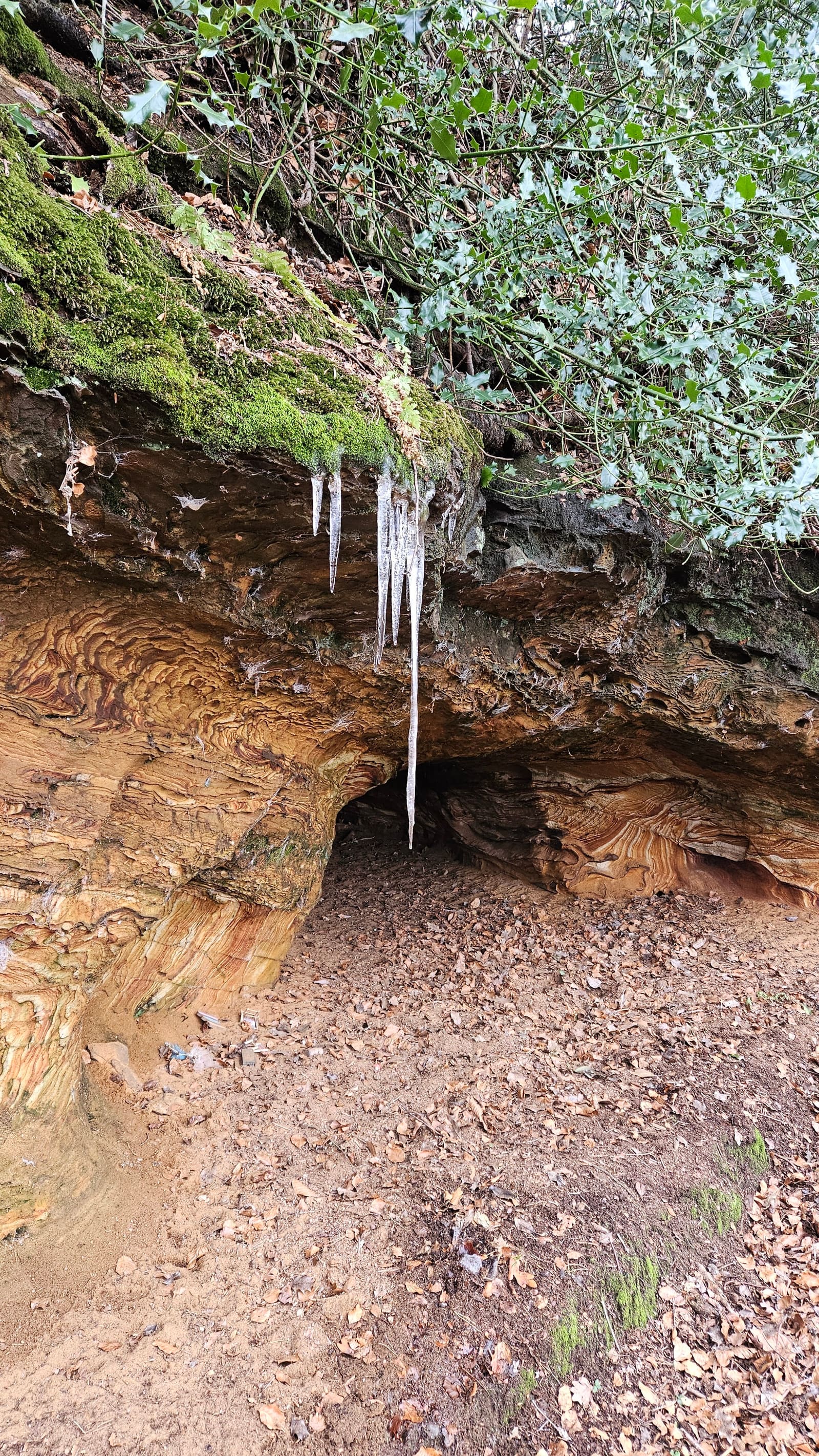 Father Foote's Cave today