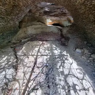 The entrance in leaf, April 2023