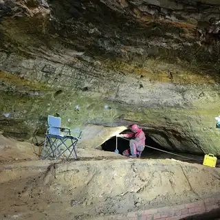The cave mouth and surrounding woodland