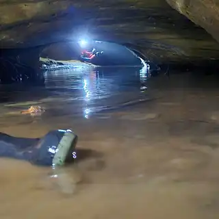 Spring water pooling inside
