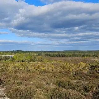 A landscape of a natural area with bushes, trees, a winding dirt trail, a small lake, and a partly cloudy sky.