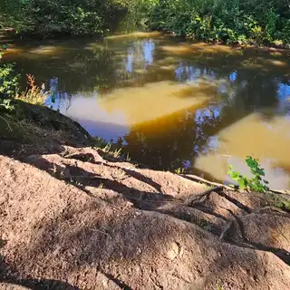 A peaceful river scene with clear blue skies, lush green trees overhanging the water, and reflections on the water's surface.