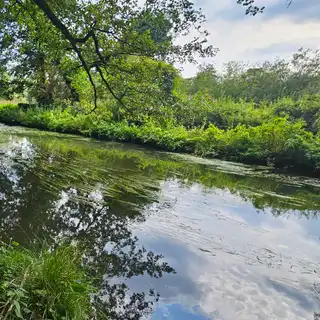 A peaceful river surrounded by lush green trees and foliage with reflections in the water under a partly cloudy sky.