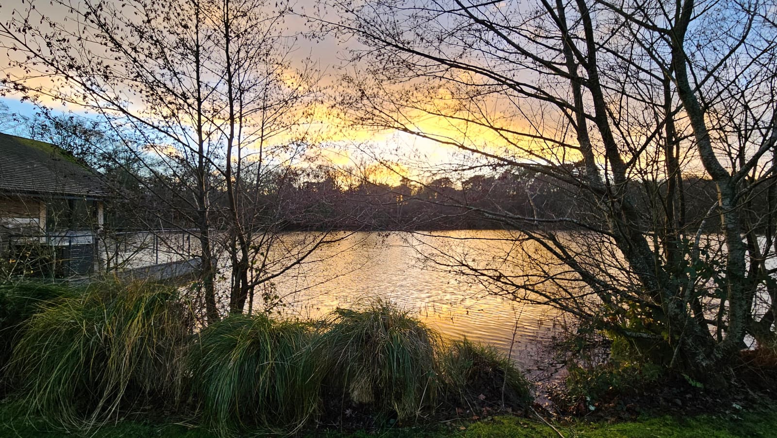 Frensham pond at sunset