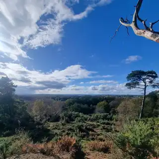 Photograph, September 2025