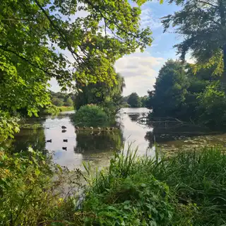 Photograph, September 2025