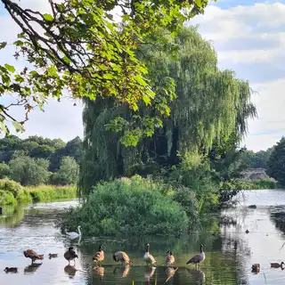 Photograph, September 2025