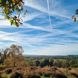 Open landscape with trees and shrubs, partly cloudy sky with contrails, and patches of sunlight and shadow on the ground.
