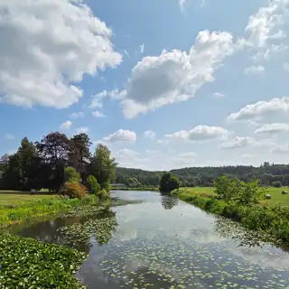 Scenic landscape of a calm river with lily pads, green trees on both sides, under a blue sky with scattered clouds.