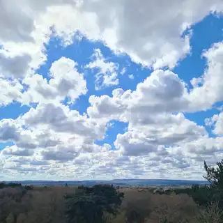 Scenic landscape with a partly cloudy blue sky, distant hills, and a mix of trees and shrubs in the foreground.