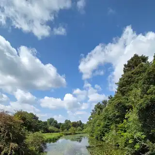 Scenic view of a river with lily pads, surrounded by green trees and shrubs, under a partly cloudy blue sky.